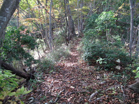 20171102hike (106)